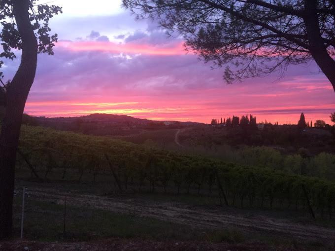 Appartamento Podere Vigna Del Sole San Gimignano Esterno foto